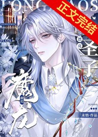 献给魔龙的漂亮小圣子