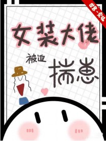 女装大佬被迫揣崽